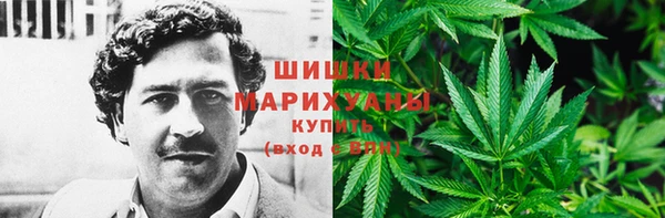 спайс Богородицк