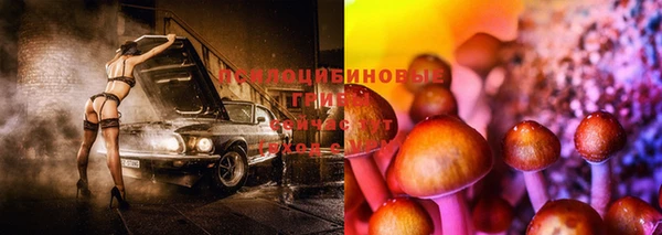 спайс Богородицк