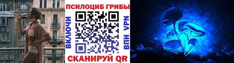 Галлюциногенные грибы Psilocybe  Купить где  Дзержинский 